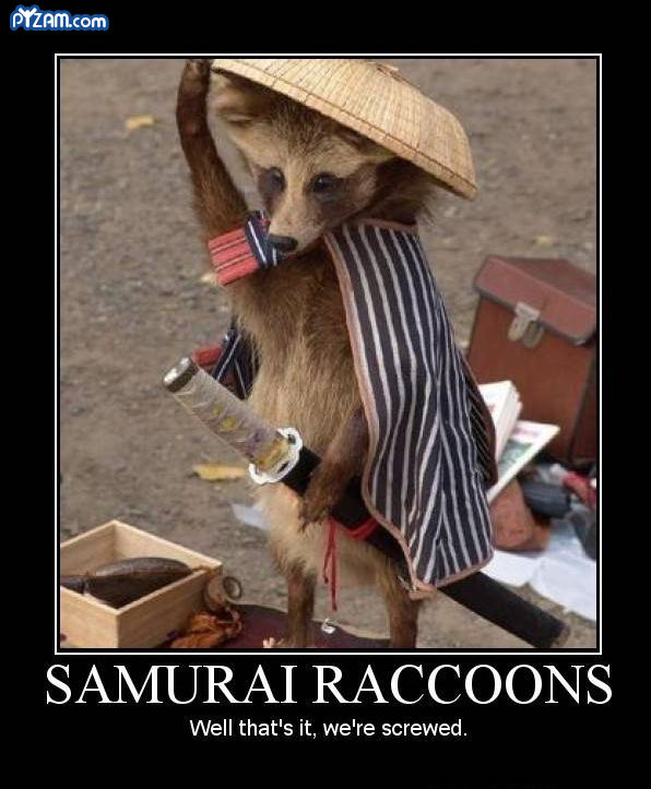 Ninja_vs._Samurai_16.jpg