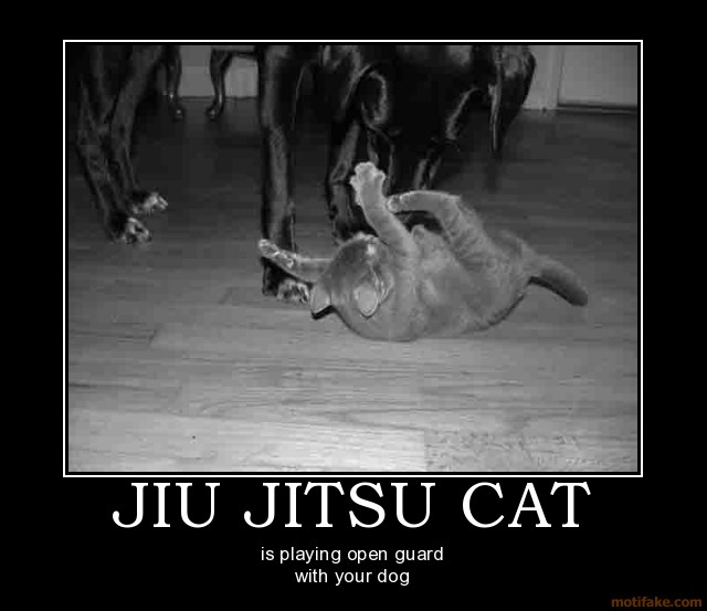 jiu_jitsu_cat_demotivational_poster_1213054438.jpg