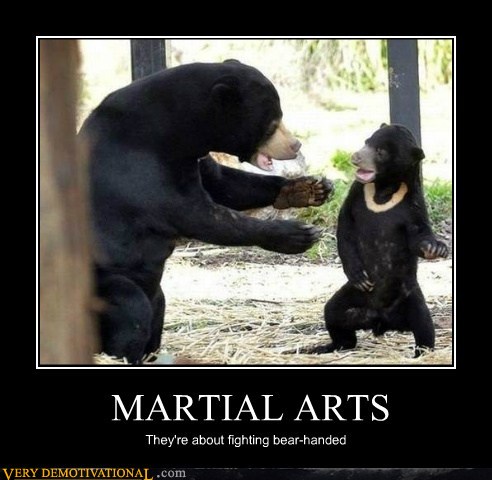 demotivational_posters_martial_arts.jpg