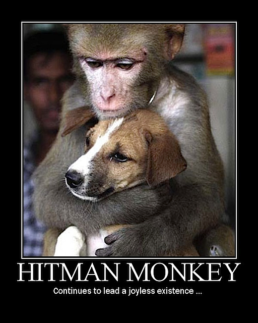 hitman_monkey_dog.jpg